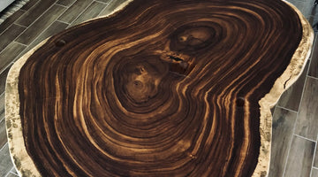 Todo lo que debes saber de la madera de parota